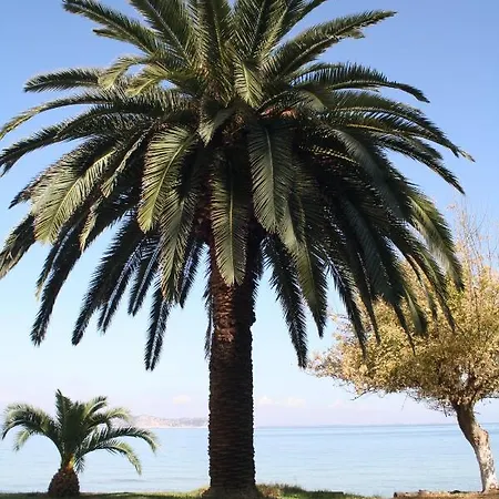 Glyfada Ξενοδοχείο Glykadi